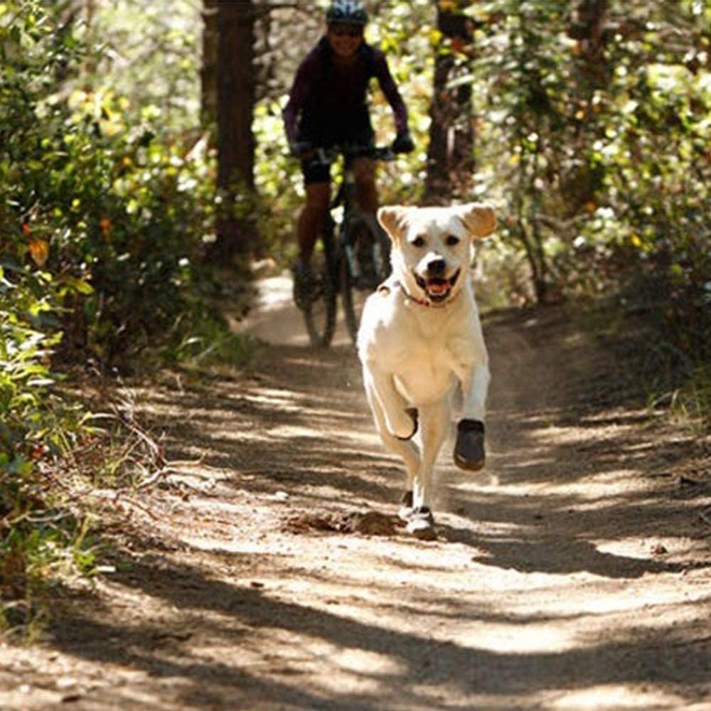  ACAMPTAR Zapatos Prueba de Agua Transpirables Botas Antideslizantes para Perros con Correa Reflectante Botas de Nieve Cálidas de Invierno para Perros Peque？os, Medianos y Grandes 8 