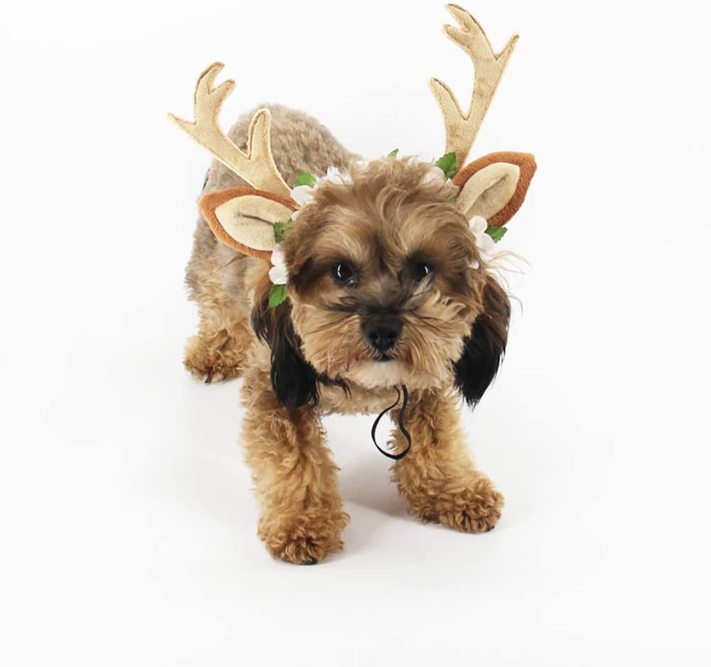  AchidistviQ - Diadema de Navidad con diseño de Orejas de Reno para decoración de Mascotas, Small 