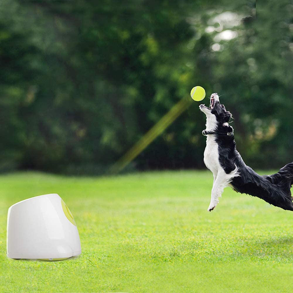  ALL FOR PAWS Hyperfetch Juguete Interactivo para lanzar Bolas de Juguete para Perro, máquina de lanzar Pelotas de Tenis para Entrenamiento de Perros, 3 Pelotas Incluidas 