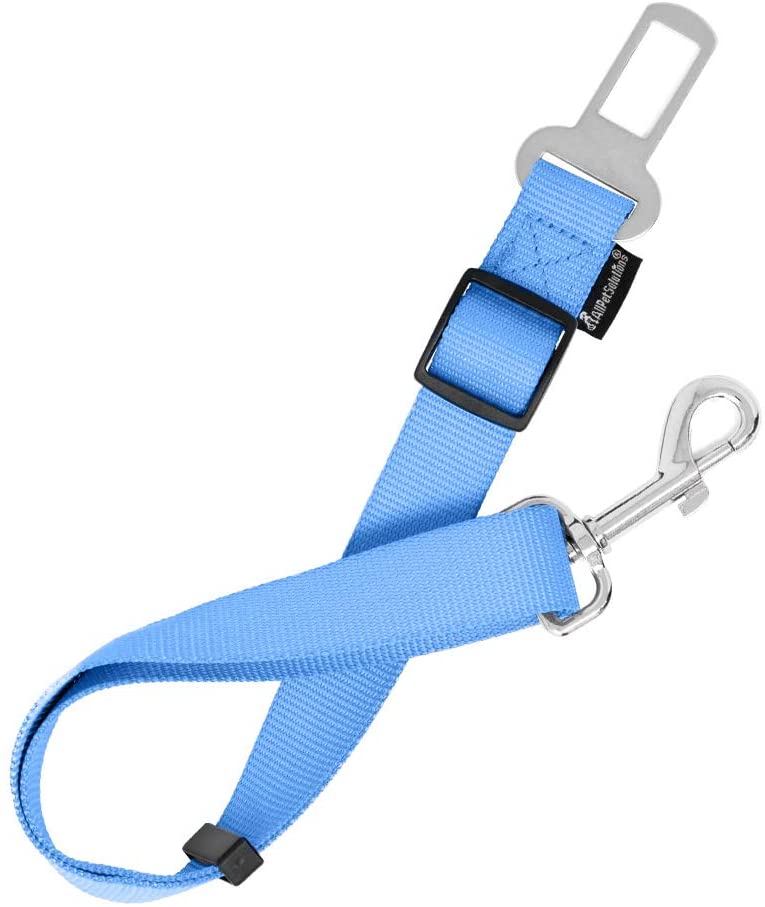  All Pet Solutions - Cinturón de Seguridad para Perro o Gato (Ajustable, para arnés o Collar), Color Azul 