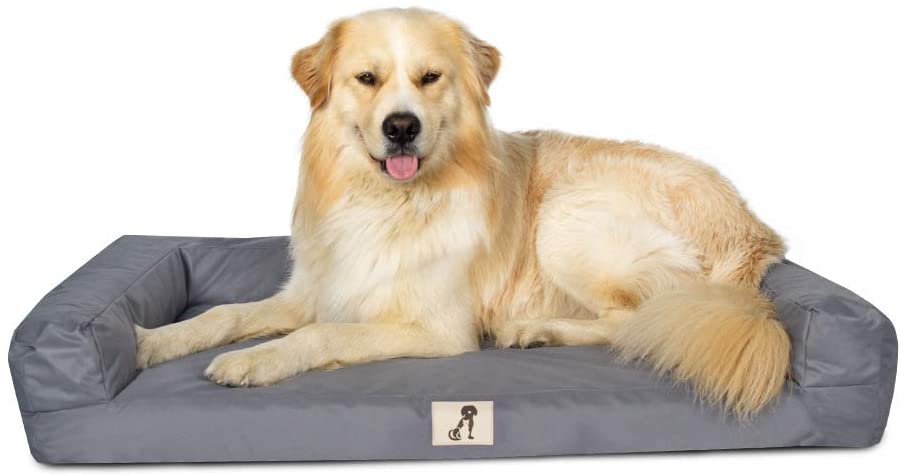  All Pet Solutions, Dexter, colchón ortopédico de Espuma viscoelástica para Perro, Impermeable, Lavable, Duradero, Funda Oxford, tamaño Grande, 101 x 65 x 18 cm 