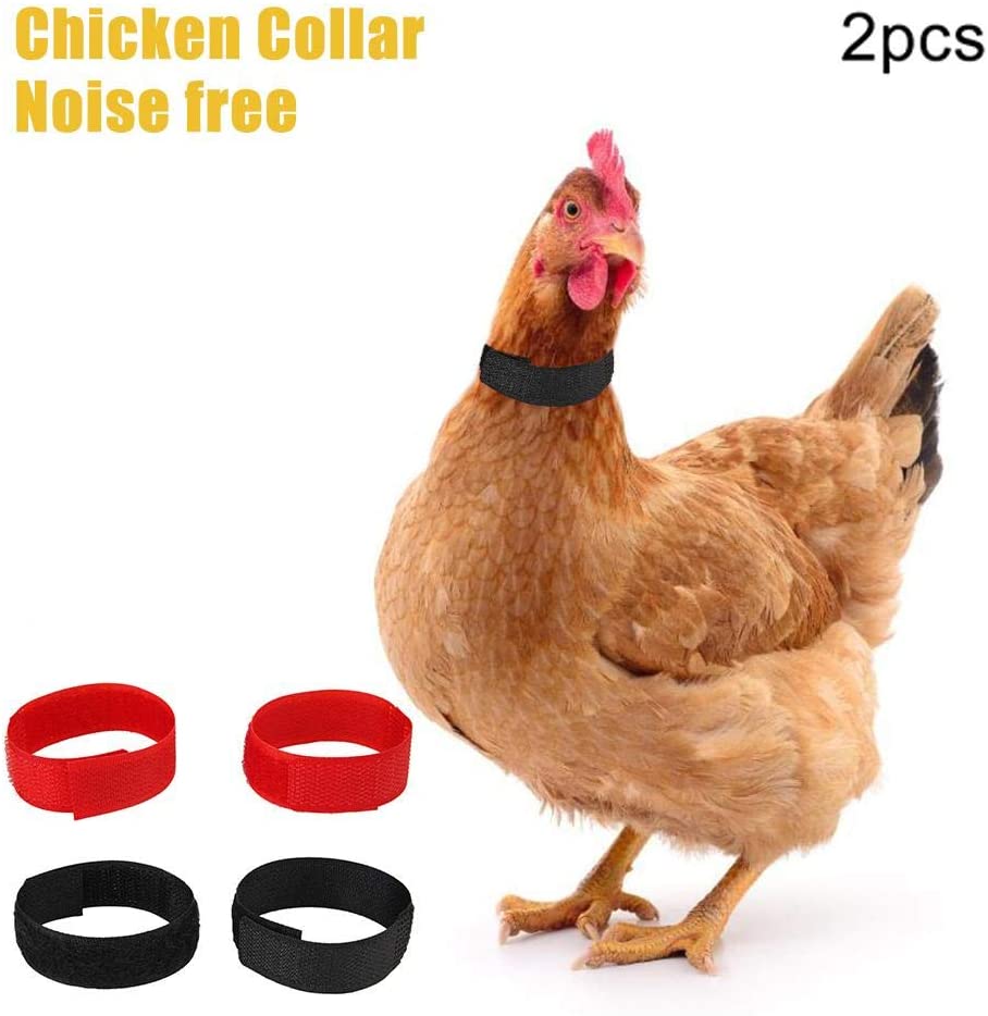  arbitra Collar de Pollo, Collar De Pollo para Mascotas, Collar de Pollo Anti-Gancho Banda para el Cuello sin Ruido para gallos Gallo Carefully 