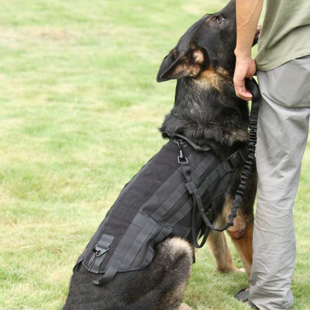  Arnés de Chaleco para Perros de Servicio Táctico, Entrenamiento de Trabajo Molle para Trabajo Pesado Al Aire Libre con Chaleco con Asa para Perros Pequeños Y Grandes,L 