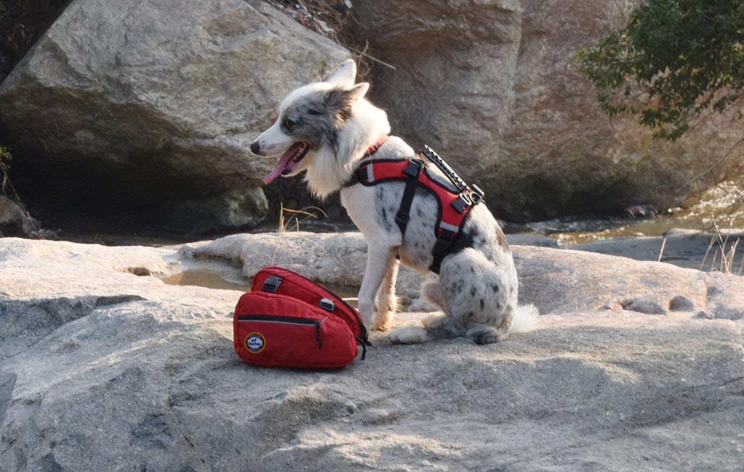  Arnés para Perros Mochila Ajustable Bolsa para alforjas para Mascotas con Dos Bolsillos Laterales Liviano Reflectante Seguridad para Ciclismo Senderismo Deportes al Aire Libre-S (S) 