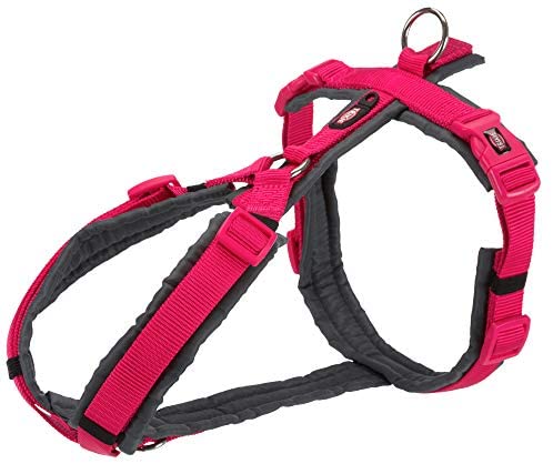  Arnés Trekking NEWPrem,M:53–64cm/20mm, Fucsia-GRAF 