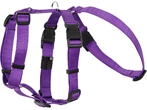  Arppe 196222530009 Arnés Nylon Basic Triple Galgos y Podencos 