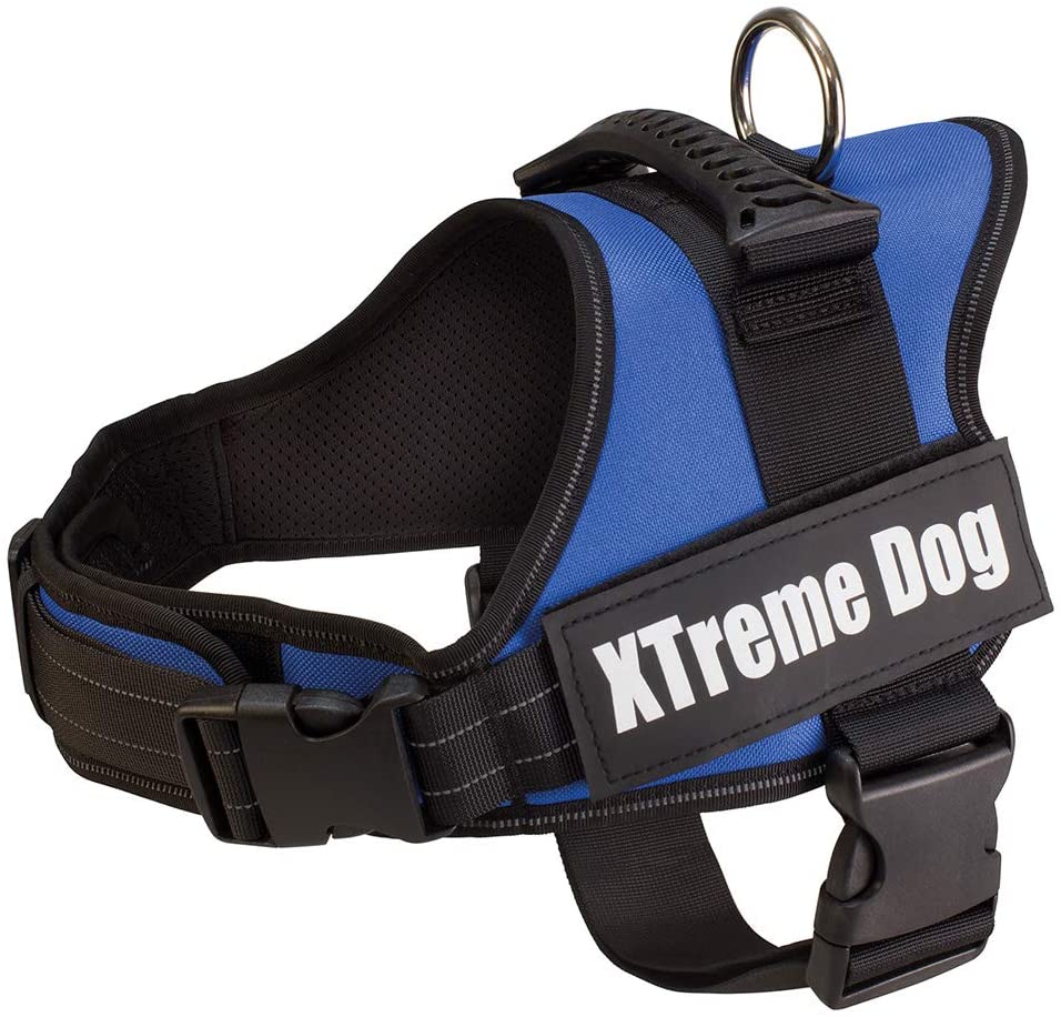  Arquivet 17700 Arnés Xtreme Dog, Azul, XS (44-57 cm) 