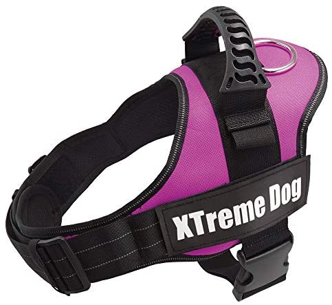  Arquivet 17707 Arnés Xtreme Dog, Rosa, L (70-95 cm) 