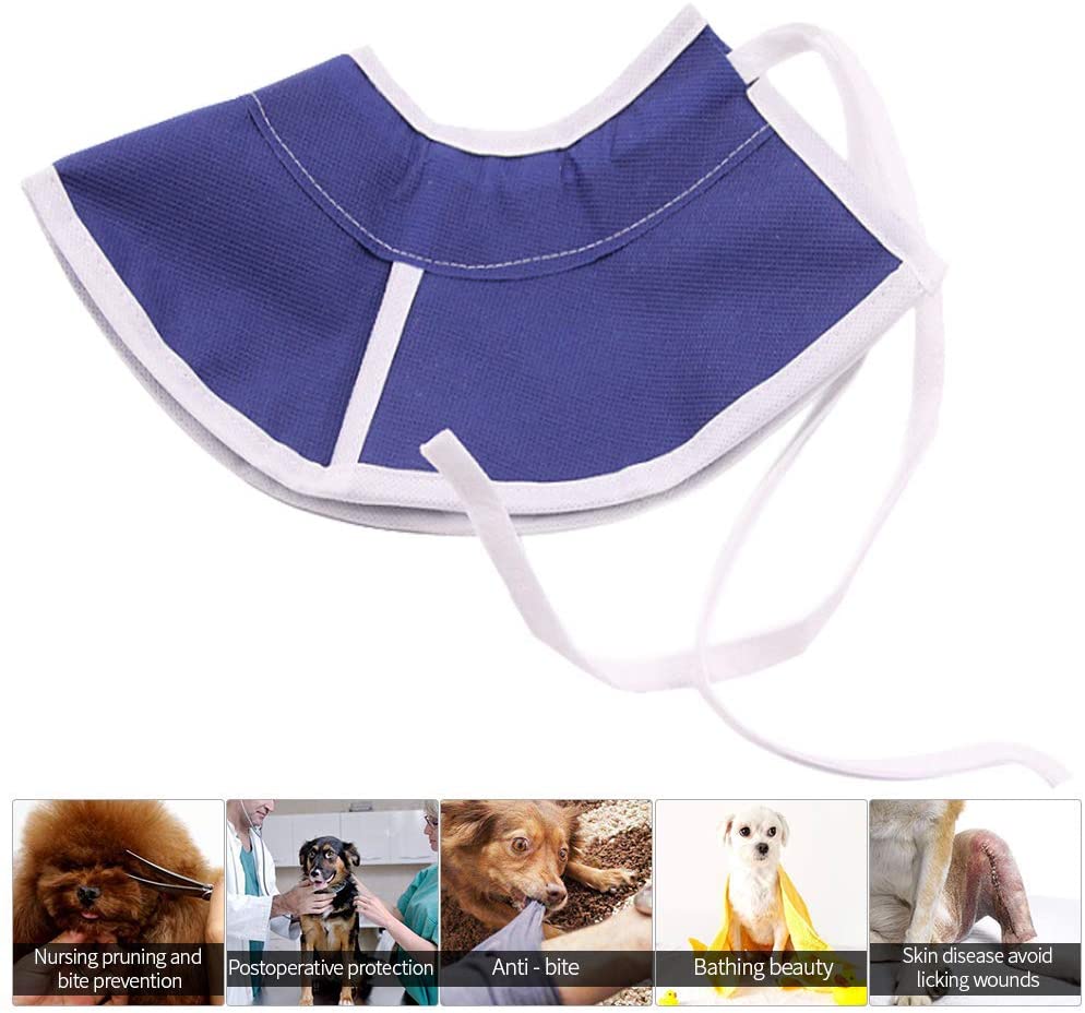  ASOCEA - Collar de recuperación ajustable para perros y gatos con cono, suave y cómodo, para la curación, de mascota, para perros y gatos para la medicación para el cuidado de la herida y la curación 