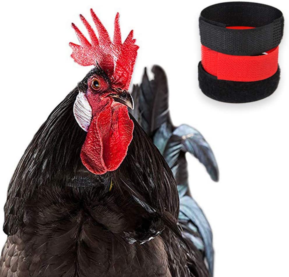  Balacoo 8 Piezas sin Collar de Gallo Cuervo Anti-Gancho Banda para El Cuello sin Ruido Evita Que Los Pollos Griten (4 Piezas Rojas 4 Piezas Negras) 