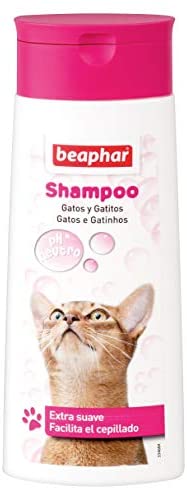  Beaphar BEA10652 Champú Gatos - 250 ml 