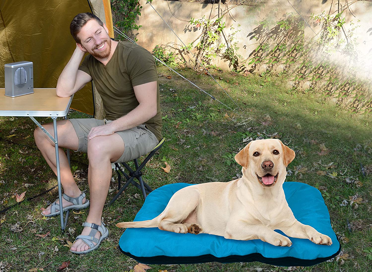  BEST DIRECT Dog Bed Visto en TV Cama para Perro Cojín Tamaño Grande Acolchado Suave e Impermeable para el Hogar y el Exterior Fácil de Lavar - Talla L 88 x 73 cm 