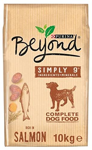  Beyond Superfood mezcla rica en salmón con grasas y patatas dulces añadidas 10 kg 