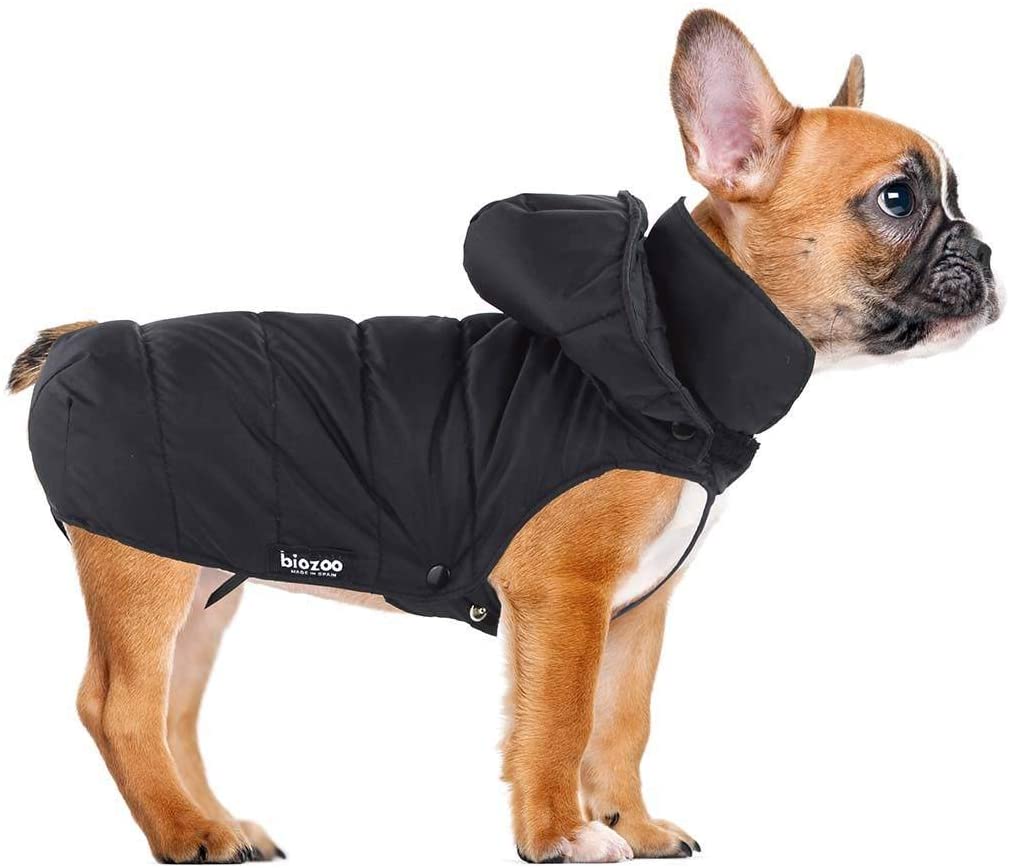  biozoo, Impermeable Acolchado Bruce para Perros (Negro) - Talla 25 