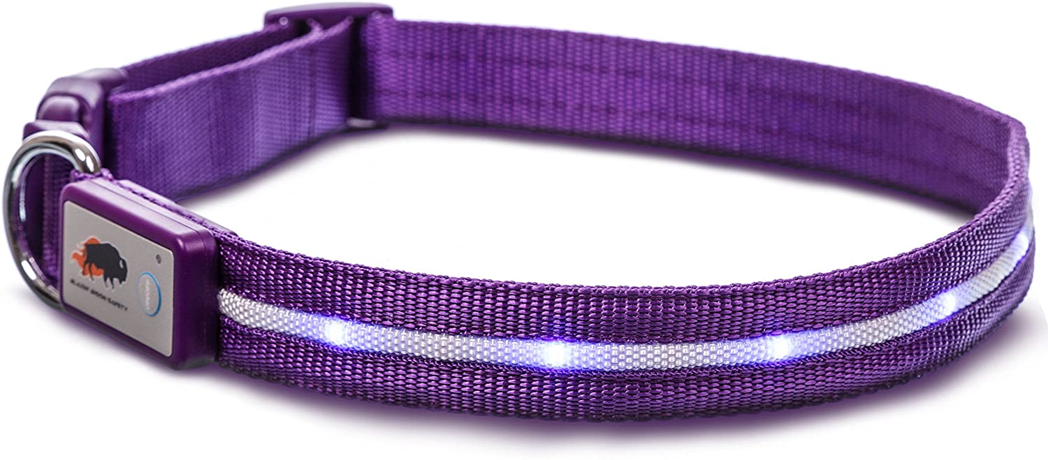  Blazin' Bison Seguridad LED Collar de perro - USB recargable con luz violeta medio intermitente resistente al agua 