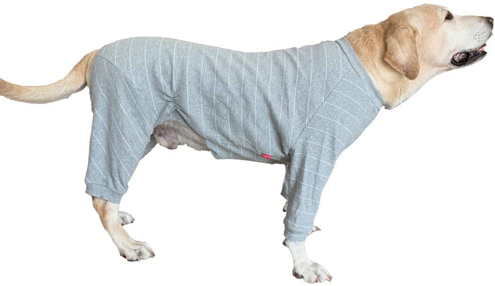  BT Bear - Pijama de Perro Grande para Proteger Las articulaciones Anti-Pelo de Cuatro Patas, Pijama de Perro Labrador Golden Retriever Samoyed 