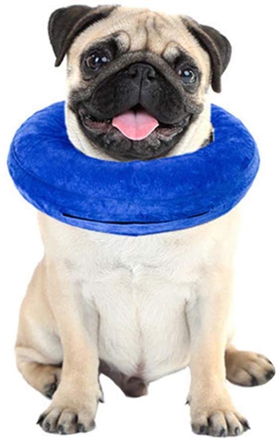  BVAGSS Collar Inflable de Recuperación Cuello Protector Suave para Perros y Gatos XH003 (L, Blue) 