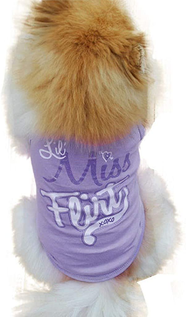  Camiseta para Perro y Gato de Algodón, Dragon868 Pato Impresión Ropa Perro Pequeño, Primavera y Verano, Ligera de Chaleco Camisetas Perros Ropa Disfraz para Perrito Yorkshire Chihuahua, XS-L 