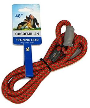  Cesar Millan Correa de Entrenamiento de Nylon, Rojo/Olivo (Pequeño/Mediano 120cm,1cm) 