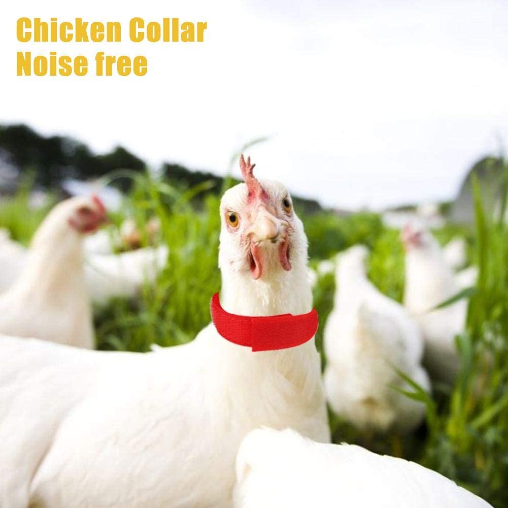  chifans Collar De Pollo, 10 Piezas De Collar De Pollo Anti-Gancho Collares De Banda para El Cuello Sin Ruido Los Suministros Evitan Que Los Pollos Griten Molestos, 18x2 Cm Choice 