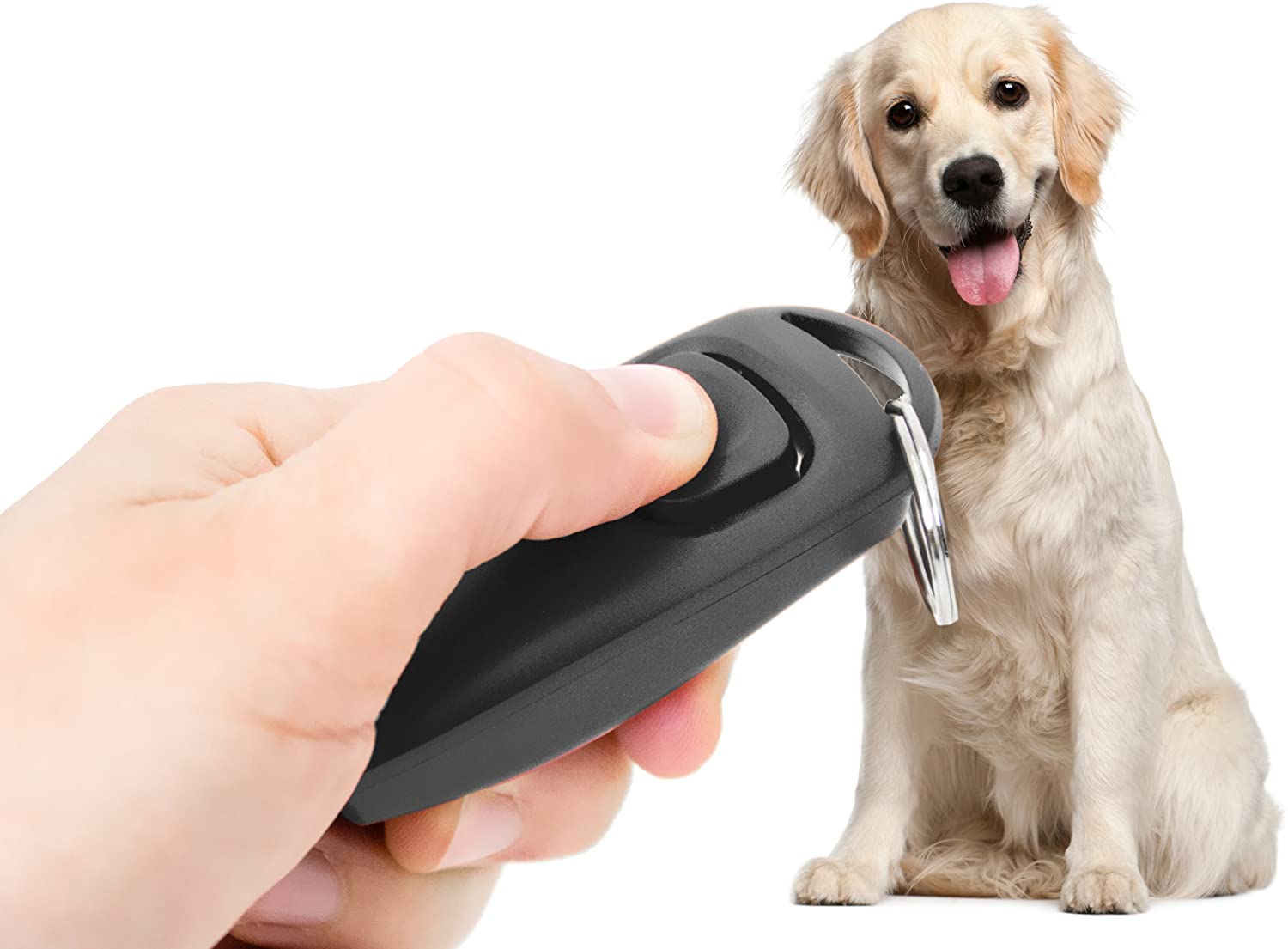  "Clicker 2en1 y silbato para perros" entrenamiento entrenamiento con clicker clicker perro perro silbato para perros clicker perro en negro NUEVO PRECORN / marca 