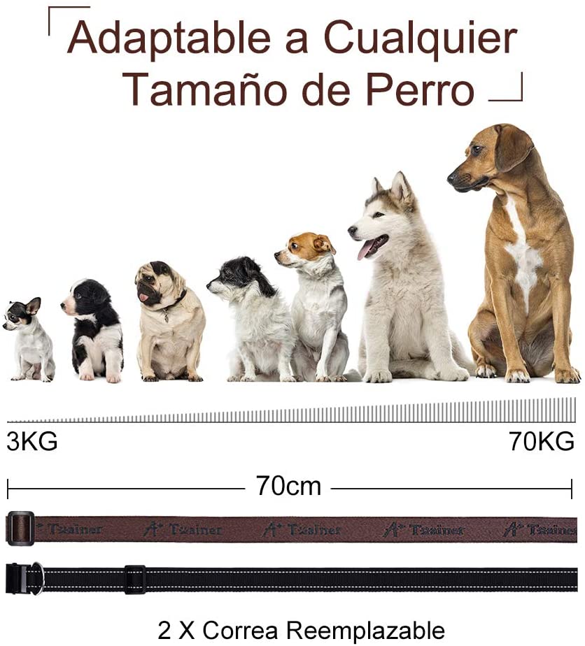  Collar Antiladridos Para Perros - Collar Anti-Ladridos Sonido/Vibración/Sensibilidad, Collar Ajustable Para Perros Pequeños, Medianos y Grandes, Viene con 2 Collares de Nylon Luminosos Intercambiables 