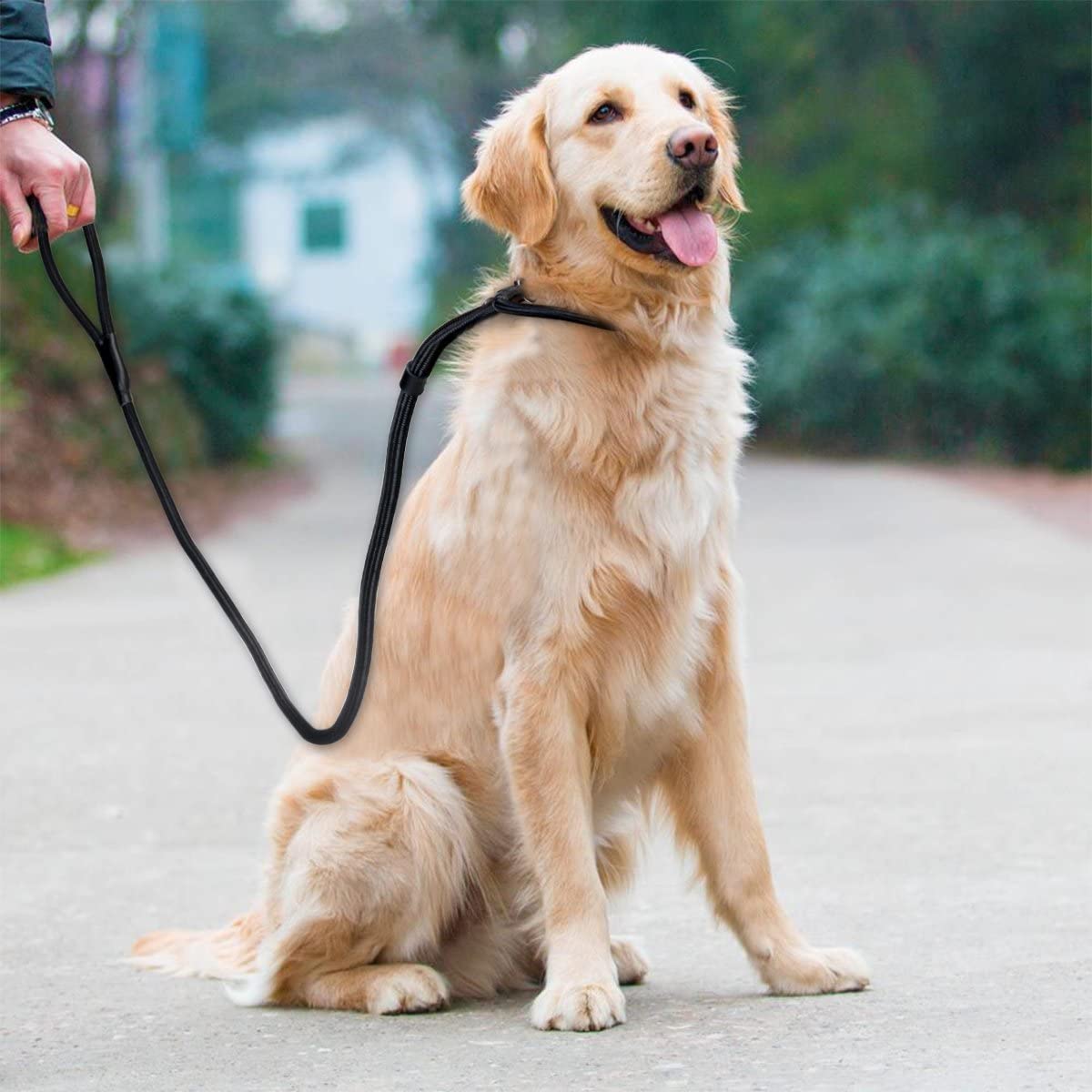  Correa para perros Da.Wa de 1,4 m, correa ajustable de tracción, hecha de nailon 