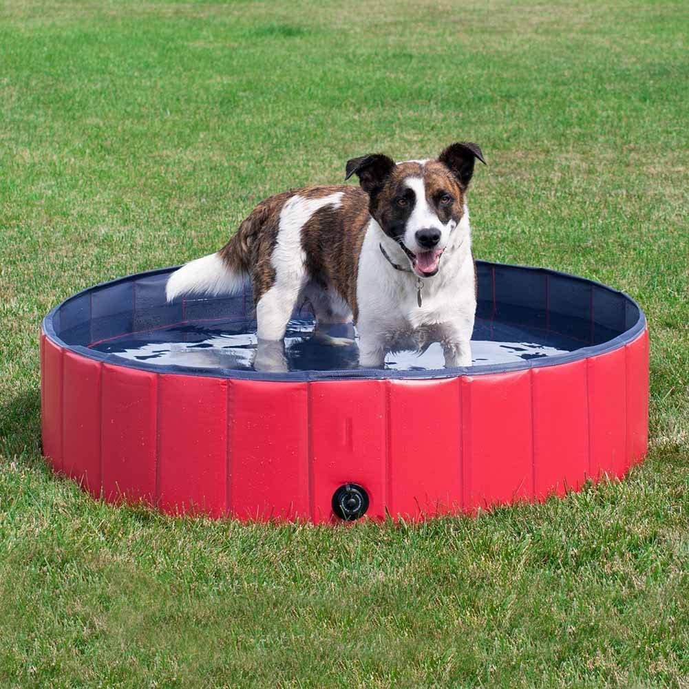  Crewell Bañera Plegable para Mascotas, Plegable, para Viaje, Portátil, para Cachorros, para Gatos y Perros, Rojo, 80cm*30cm 