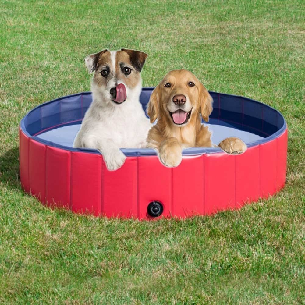  Crewell Bañera Plegable para Mascotas, Plegable, para Viaje, Portátil, para Cachorros, para Gatos y Perros, Rojo, 80cm*30cm 