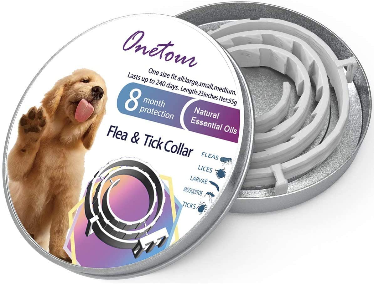  Cuello de perro fuerte transpirable Collar de perro de seguridad ajustable cómodo para perros pequeños / medianos / grandes 