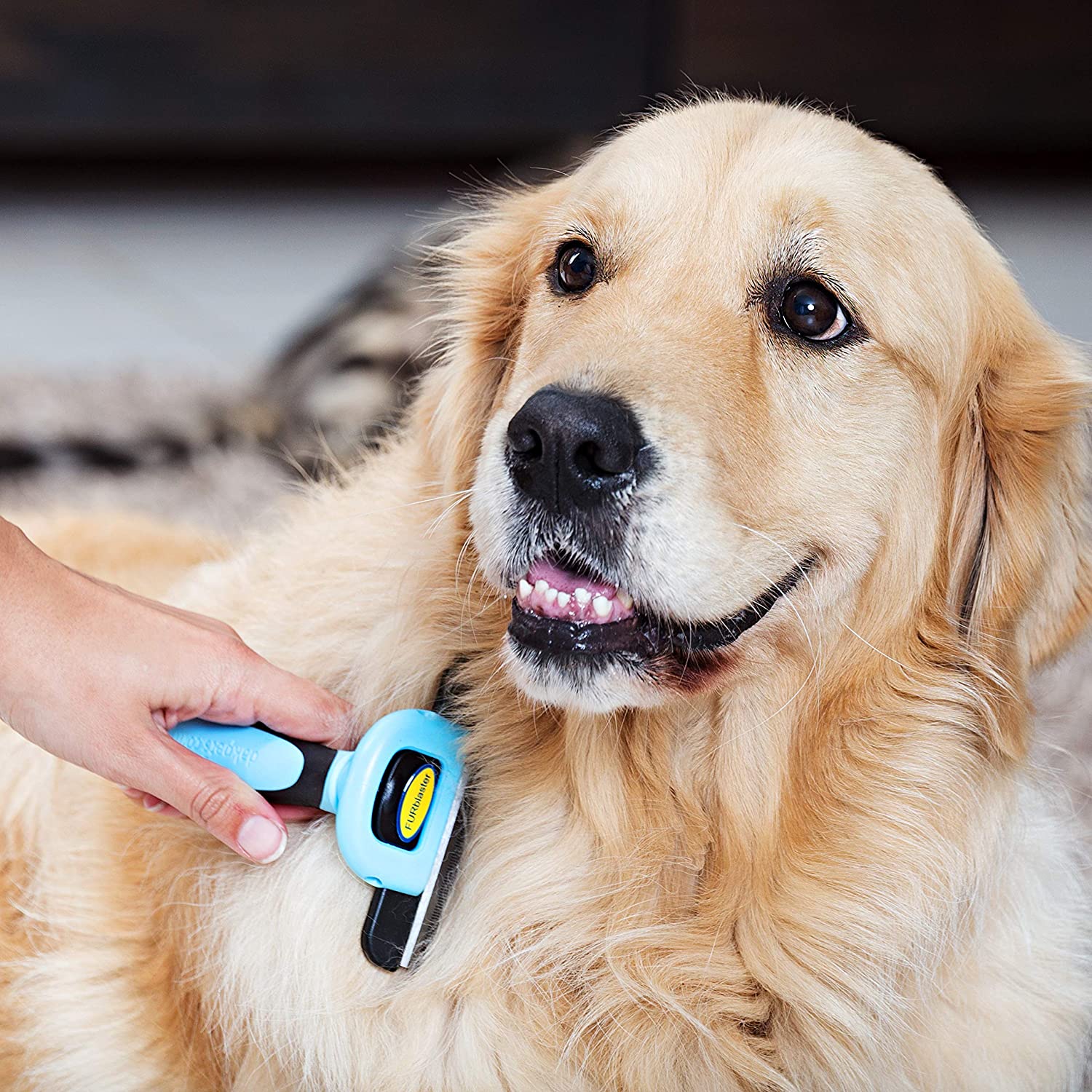  DakPets FURblaster - Cepillo de aseo para Perros Pequeños, Medianos y Grandes + Gatos con Pelaje Corto a Largo, color Azúl 