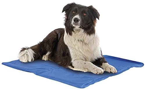  Dapac - Alfombrilla refrescante para perros (40x50cm) 