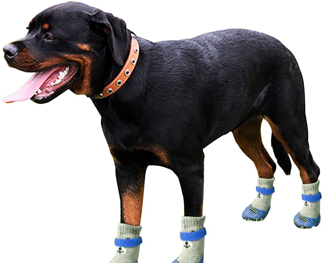  DAYOLY - 4 Calcetines Antideslizantes para Mascotas, Impermeables, Suaves y Cálidos, para Perros y Gatos Pequeños, Cachorros y Gatitos 