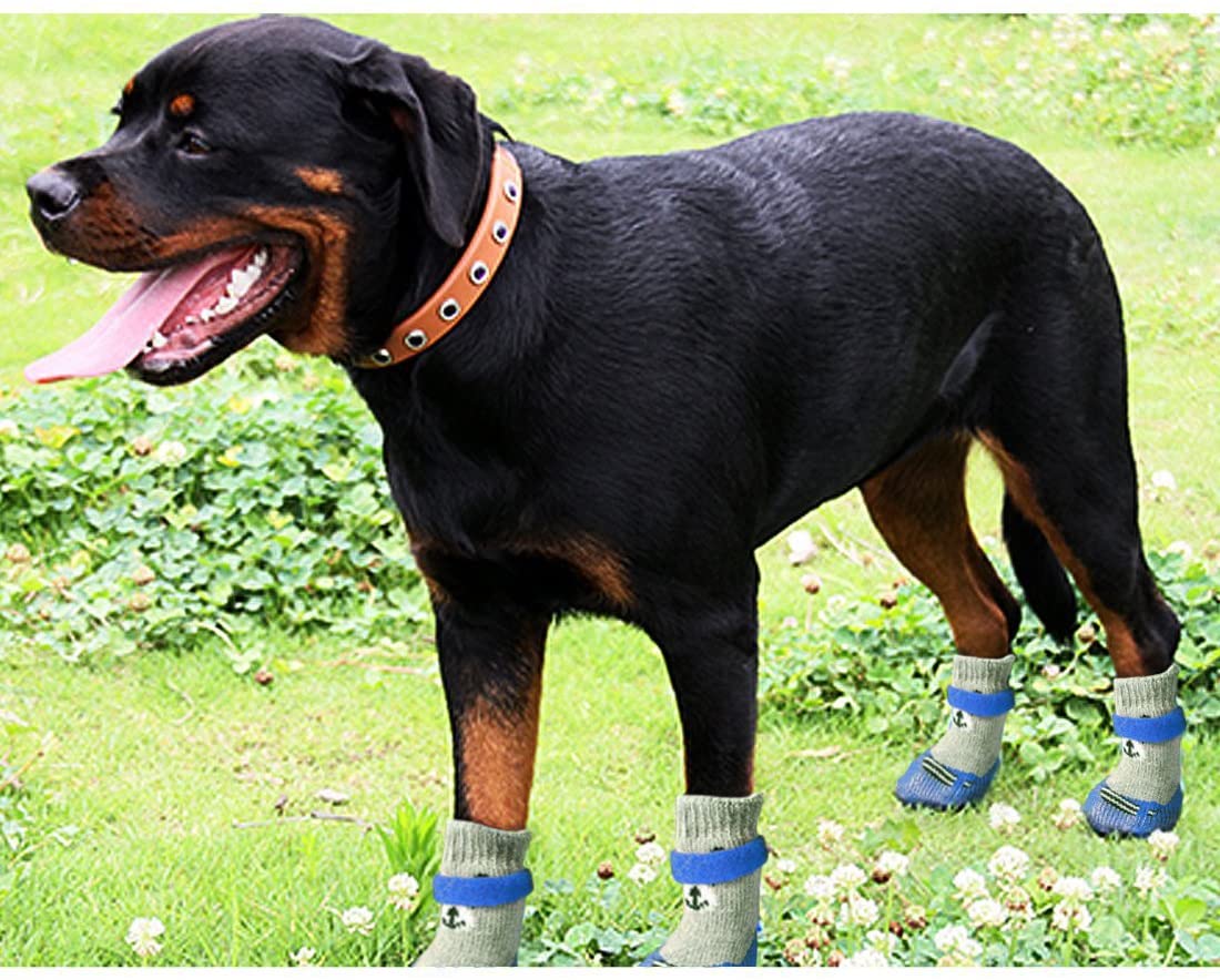  DAYOLY - 4 Calcetines Antideslizantes para Mascotas, Impermeables, Suaves y Cálidos, para Perros y Gatos Pequeños, Cachorros y Gatitos 