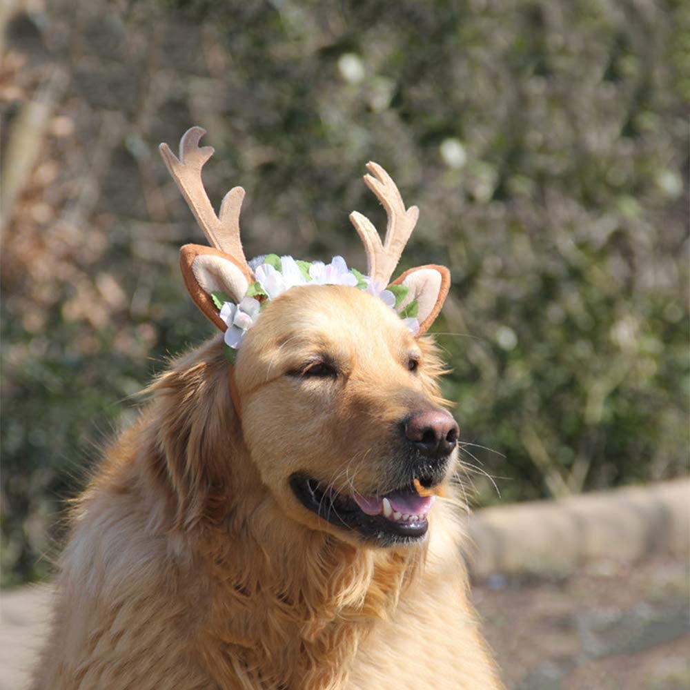  DAYOLY Gorro de Cuernos de Alce para Perro, con Orejas y Reno de Navidad, Diadema para Perro, Gato, Mascota, Accesorio de peluquería para Fiestas 