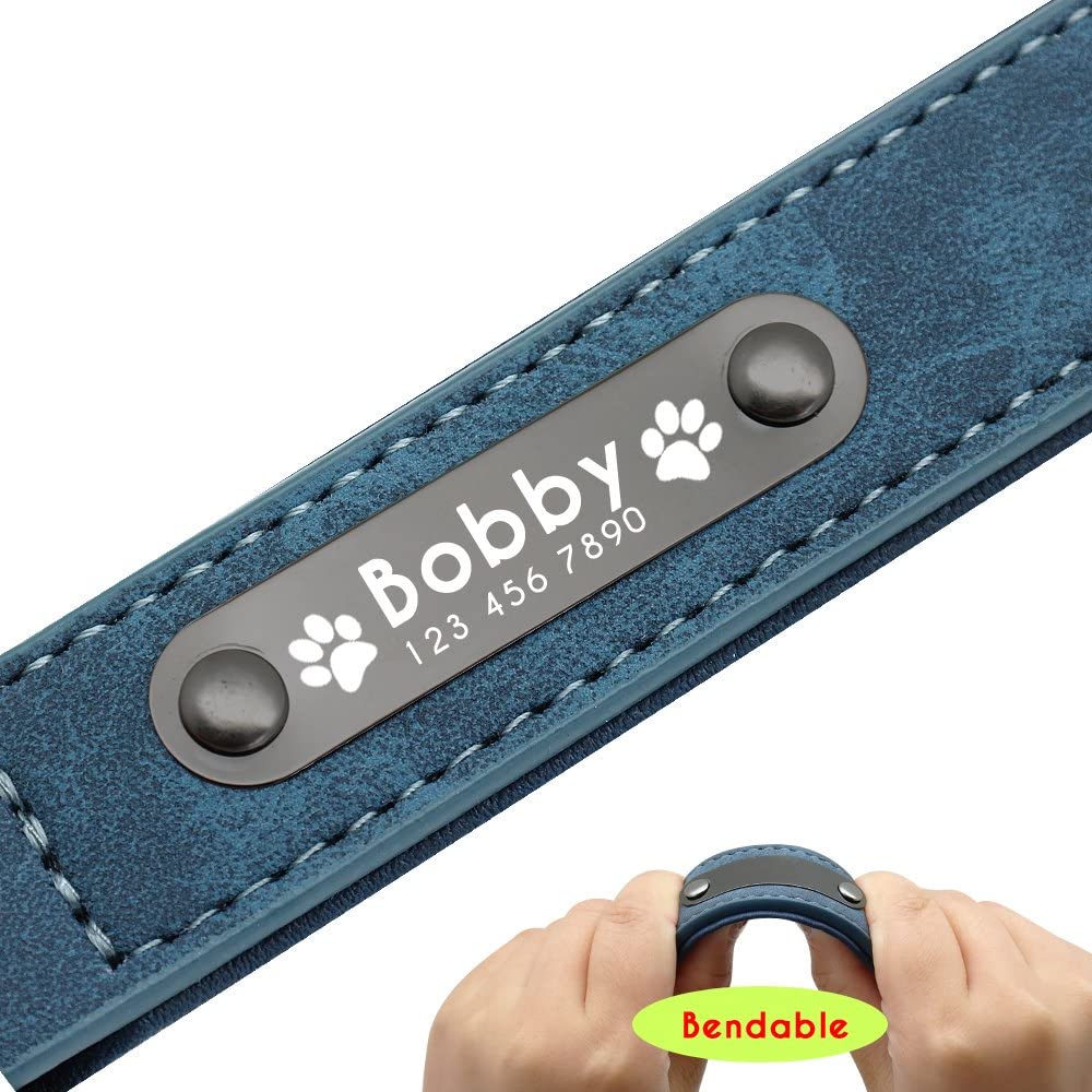  Didog - Collar de piel suave acolchada personalizable para perro, chapa de nombre, anillo en D, collar grabado para perro, tamaños pequeño, mediano y grande 