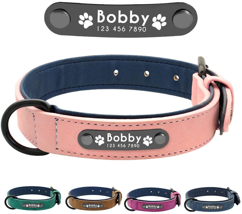  Didog - Collar de piel suave acolchada personalizable para perro, chapa de nombre, anillo en D, collar grabado para perro, tamaños pequeño, mediano y grande 