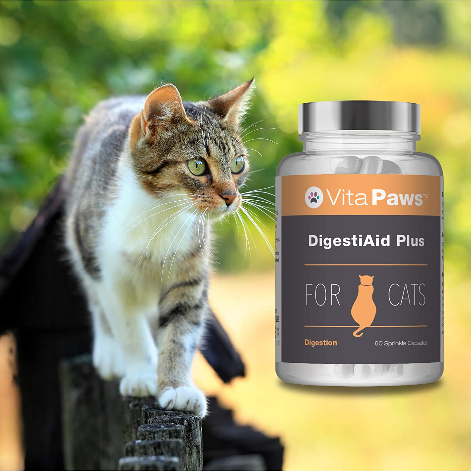  DigestiAid Plus para Gatos - ¡Bote para 3 meses! - 90 Cápsulas - VitaPaws 