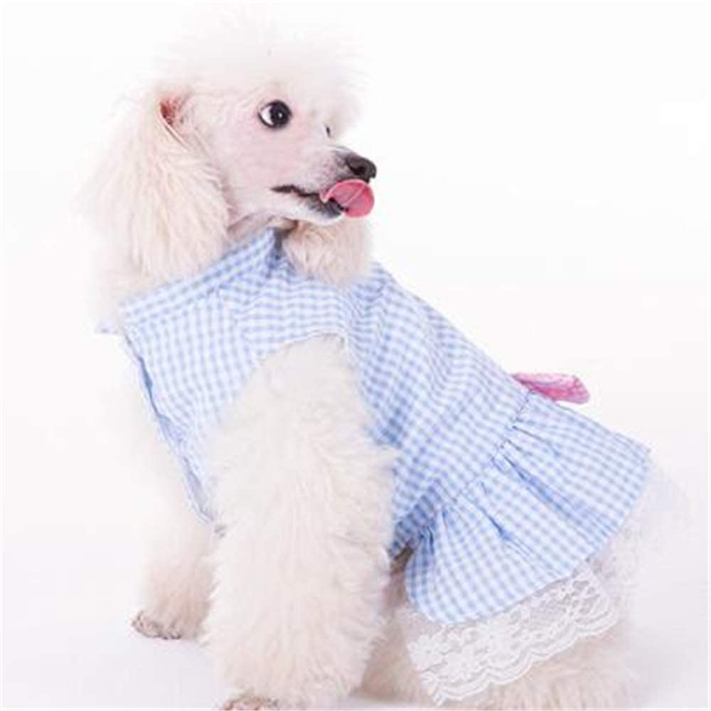  dingsheng Moda Ropa para Mascotas Camiseta casualLinda Falda de Encaje Teddy Bobby Bear Ropa para Mascotas Azul XL 