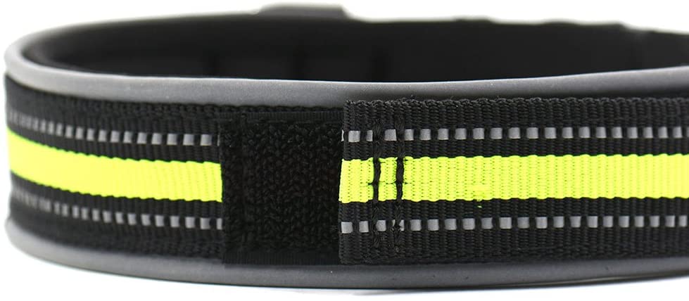  Dxlta Collar de Mascota con Tira Reflectante Nylon Ajustable para Mascotas Gato Perro Seguridad Nocturna 