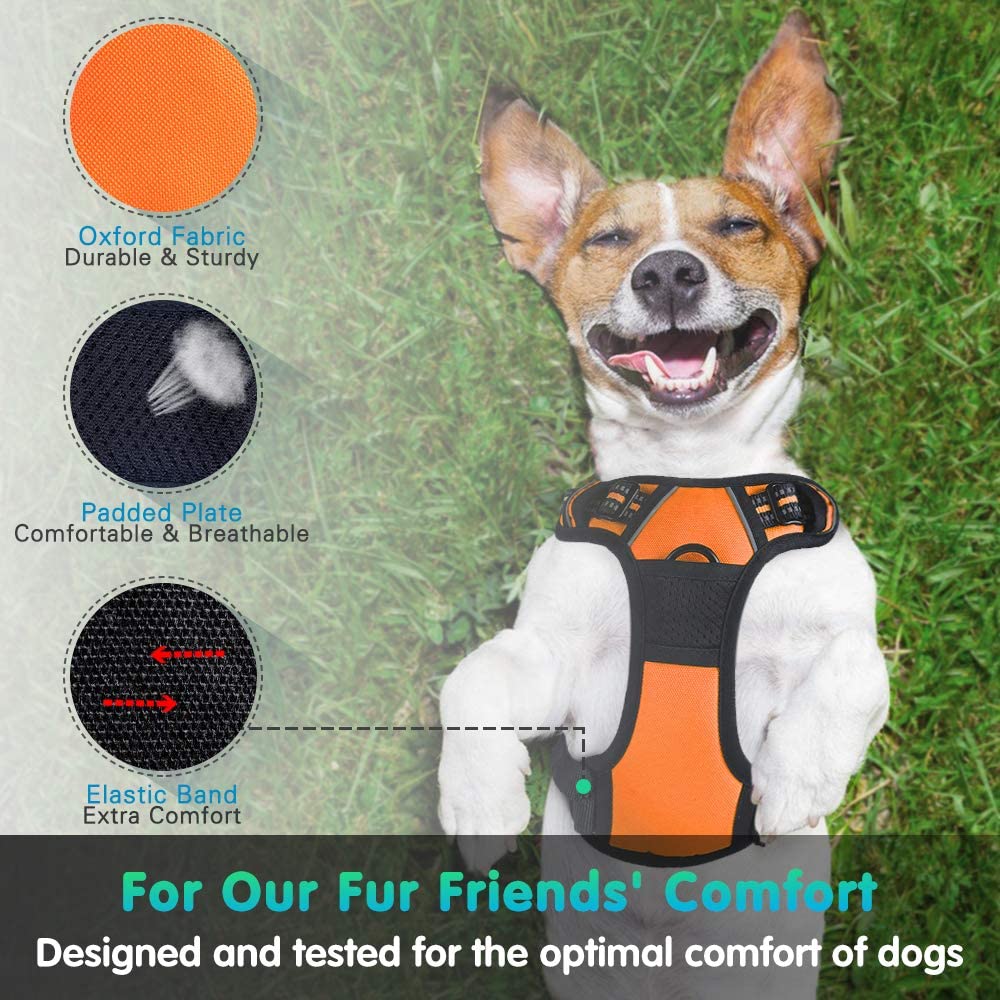  Eagloo Arnes de Perro Antitirones Cómodo Chaleco Ajustable Correa al Cuello y Pecho para Perros Grande Material Duradero Transpirable con Cinta Reflectante Adaptarse a Ejercer Externo L/Naranja 