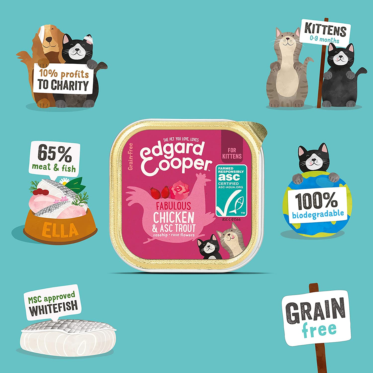  Edgard & Cooper Comida humeda Gatos Kitten sin Cereales, Natural con Pollo Fresco y Truchas con certificación ASC. Comida Sana Rica en nutrientes y antioxidantes Naturales. Pack tarrinas de 19x85gr 