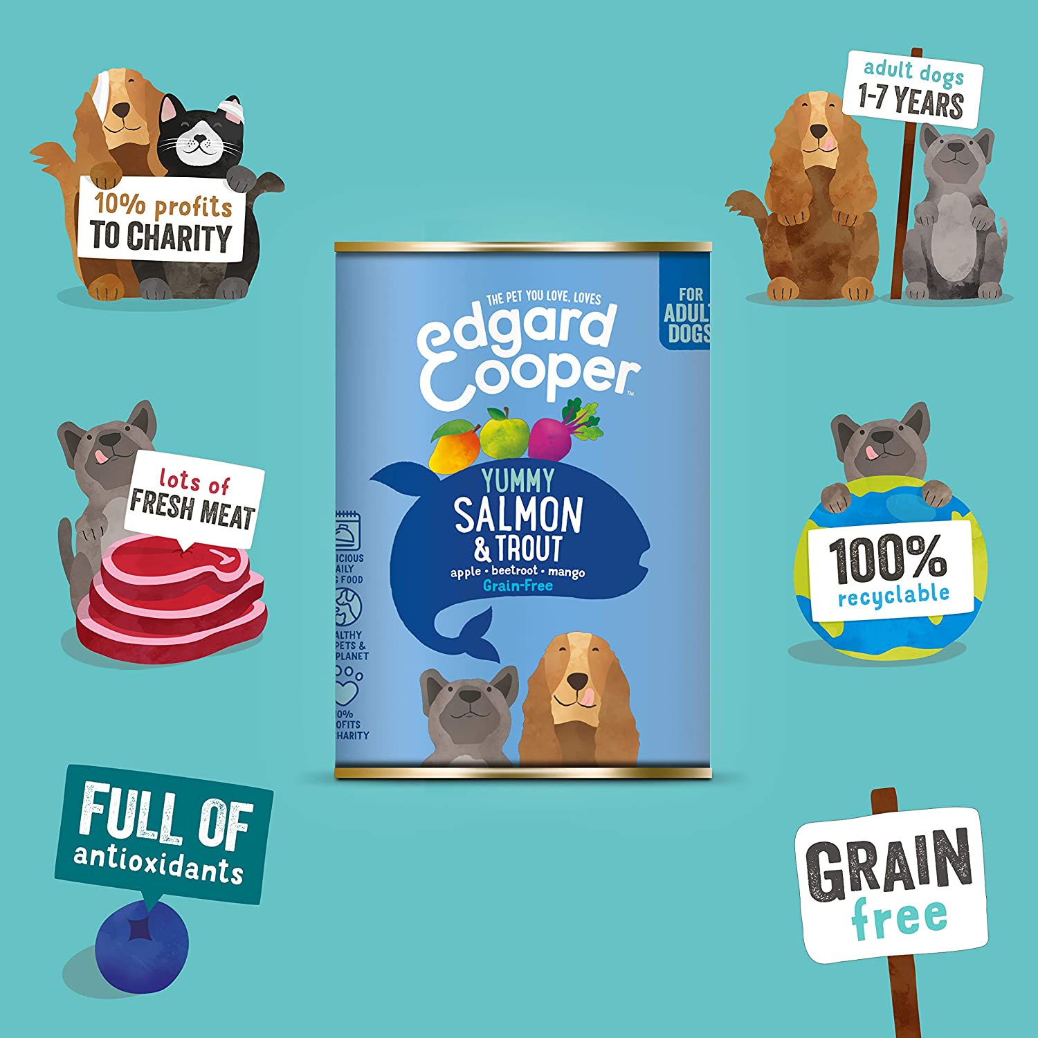  Edgard & Cooper Comida humeda Perros Adultos sin Cereales, Natural con Salmón y Trucha. Alimentación balanceada con Omega 3 para un Pelaje Suave y Brillante Carne 100% Fresca. Pack de 6x400gr 