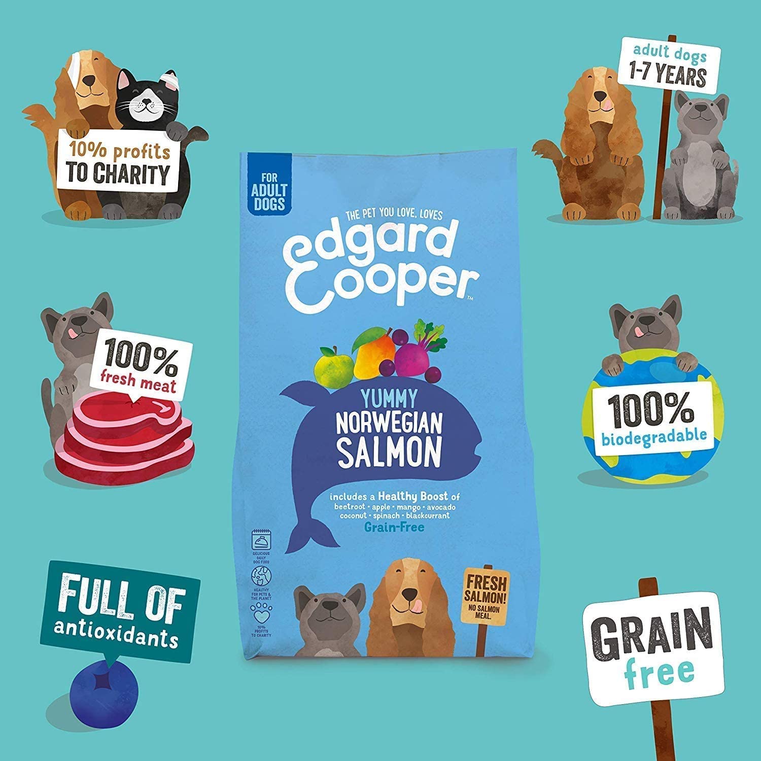  Edgard & Cooper pienso para Perros Adultos sin Cereales, Natural con Salmón Fresco, 7kg. Comida Premium balanceada sin harinas de Carne ni Carnes sobreprocesadas, cocinada a Baja Temperatura 