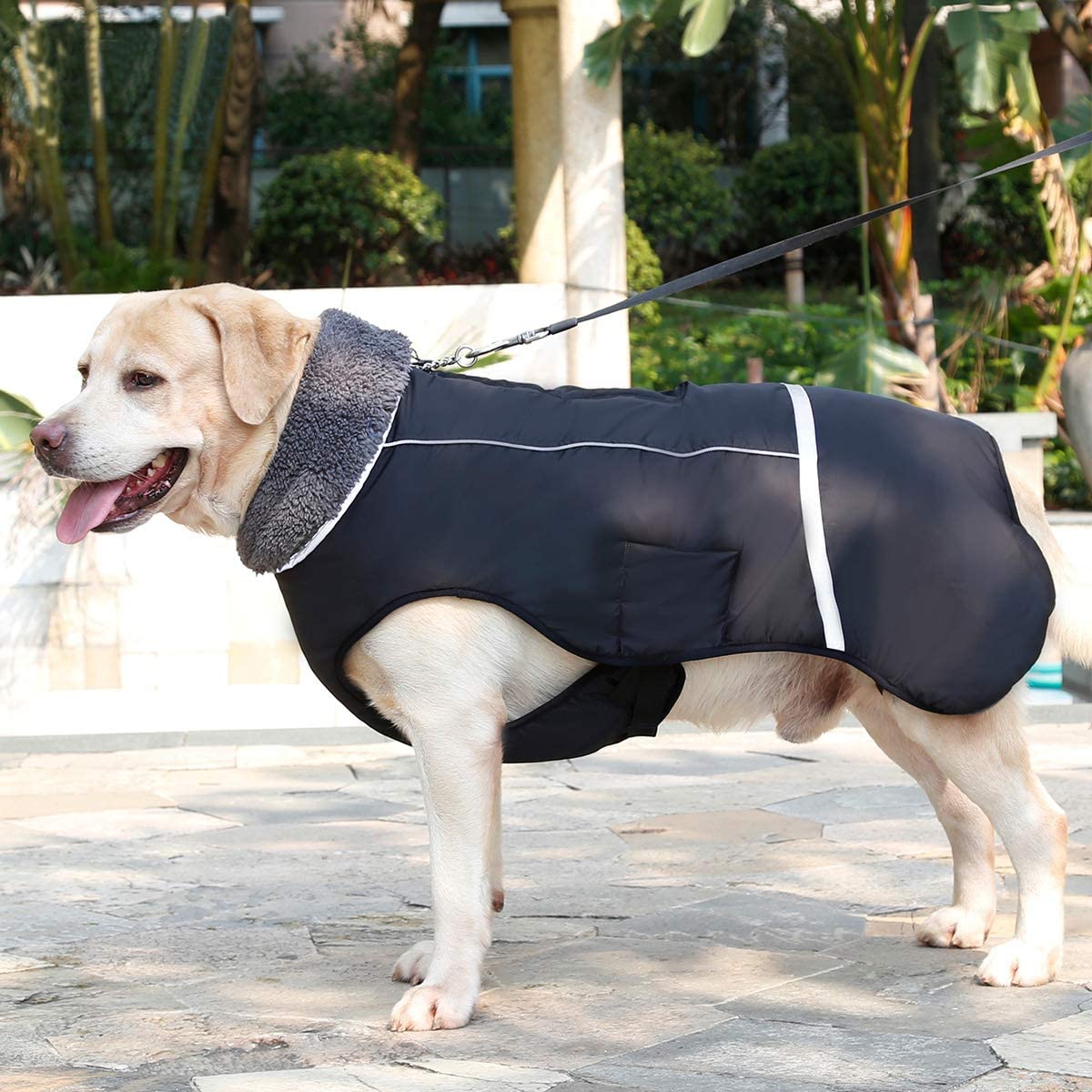  Eleoption - Impermeable caliente para invierno para perros, chaqueta chubasquero para exteriores, impermeable, reflectante, abrigo para perros pequeños, medianos y grandes. - UYYIU76667, XXL, Negro 