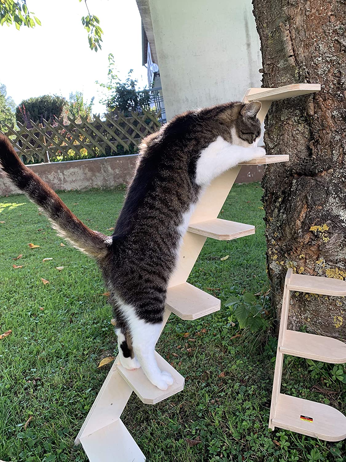  Elmato Escalera para Gatos 