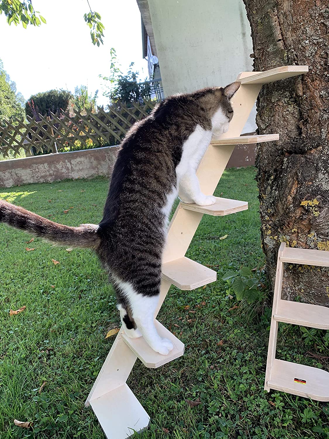  Elmato Escalera para Gatos 