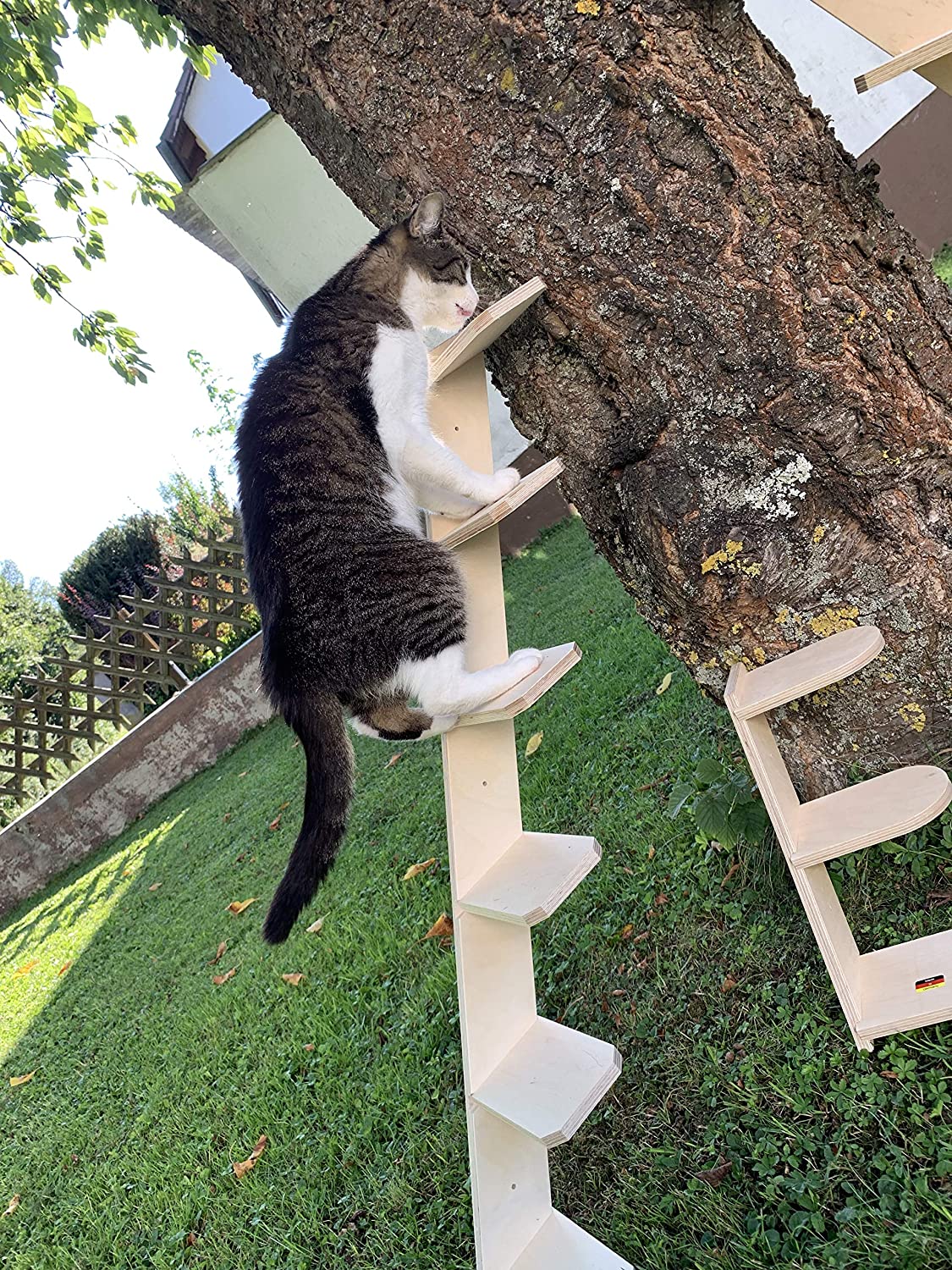  Elmato Escalera para Gatos 