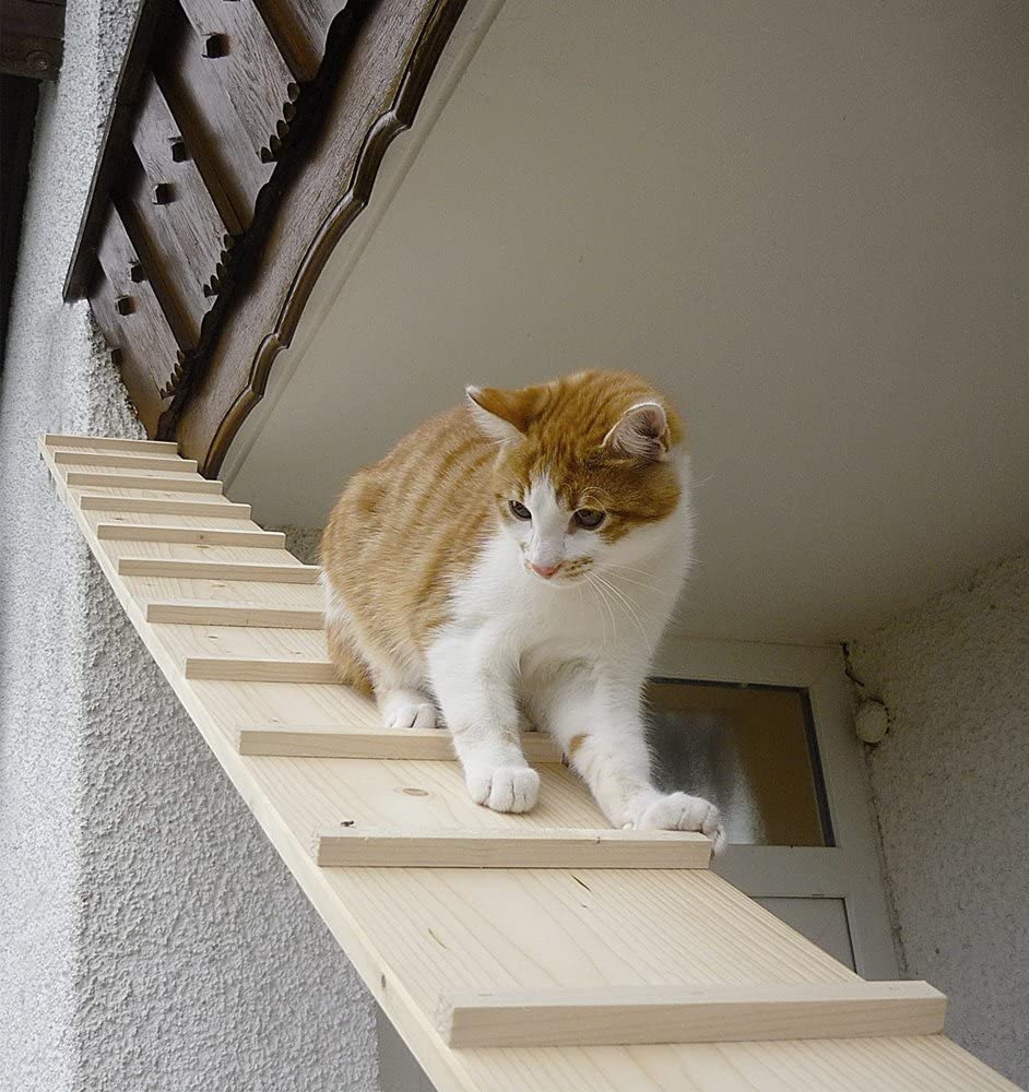  Elmato Gato escaleras, 2 m 