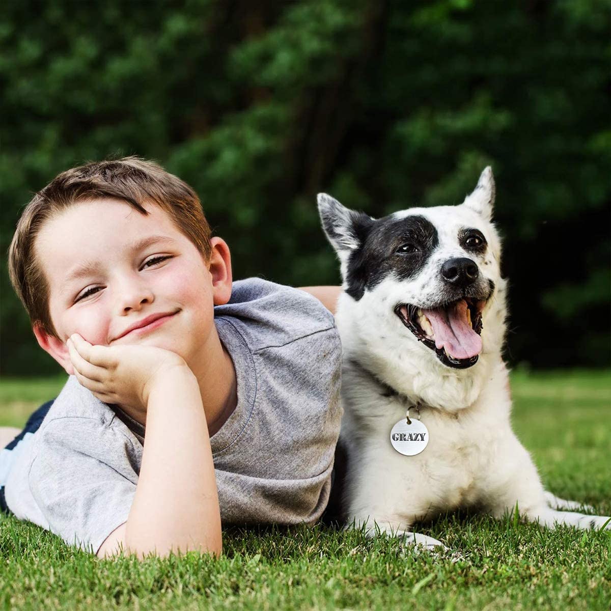  ExeQianming Etiquetas para identificación de Mascotas, de Acero Inoxidable, en Blanco, sin Letras, para identificación de Mascotas, Personalizadas, 3 especificaciones, 6 Unidades 